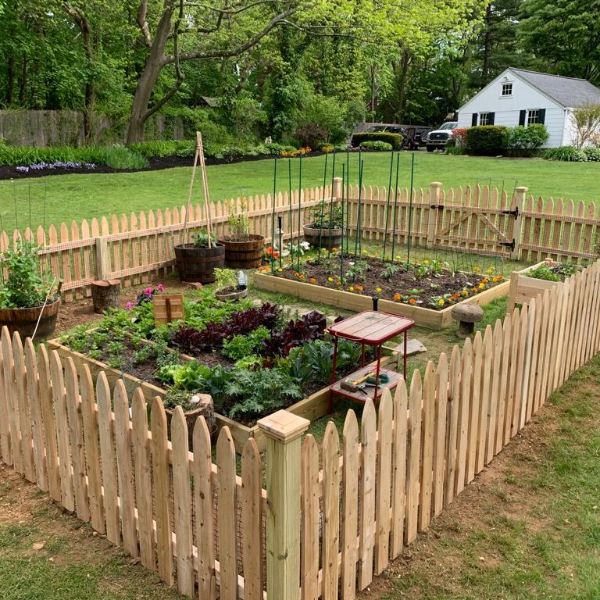 garden fence